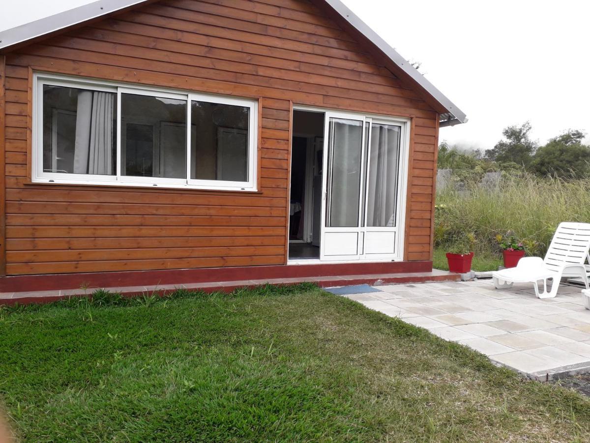 Villa Camelias La Plaine-des-Palmistes Eksteriør billede